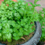 【12項目の創意工夫・臭いのこと】